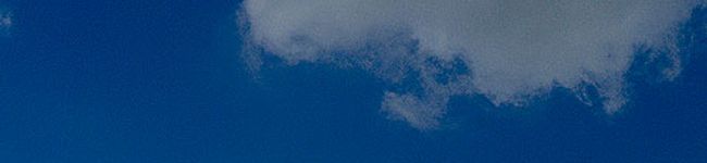 ｽゥ。's header image