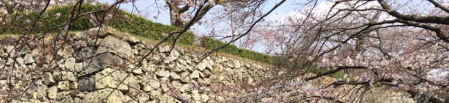 ひろろろろろん's header image