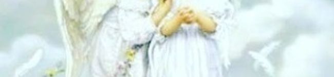 MayumiDeli's header image