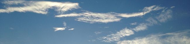 kao2724's header image