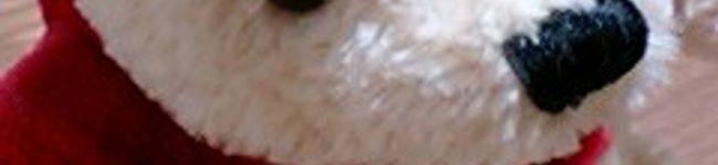 poohsticks's header image