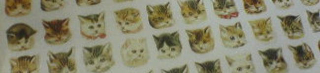 みゆのり's header image