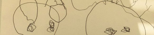 まるまるめろん's header image