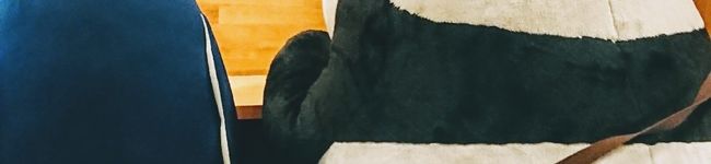 2おもち0's header image