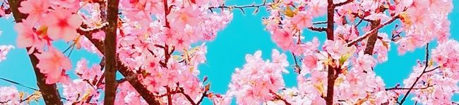 ♪子どもが喜ぶご飯♪'s header image