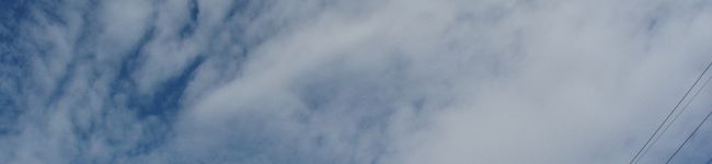 yuzuyum's header image