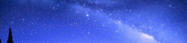 Lilly_Ange's header image