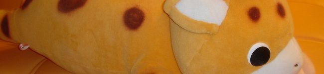 cooker0405's header image