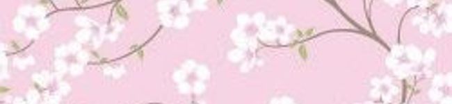 joya's header image