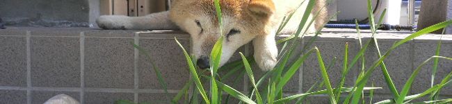 たっくんvv's header image