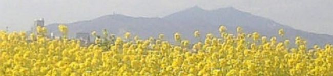 LUNALUNAママ's header image