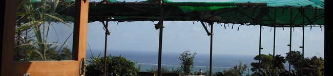 maachuu's header image