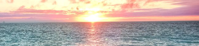 Risa73's header image