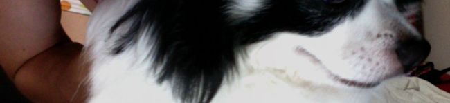 正木主夫's header image