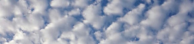 жゆきにゃж's header image