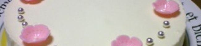 パーフェクトパンダ's header image