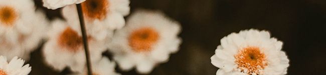 ᴛᴇᴀᴛɪᴍᴇ's header image