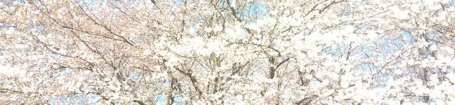 クックDOIY7N☆'s header image