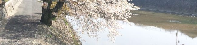 さらんさっぷ's header image