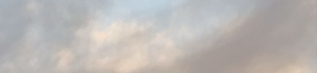 ミクノゴハン's header image