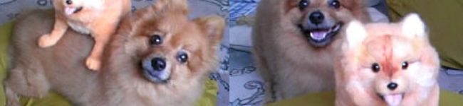 R2sasa's header image