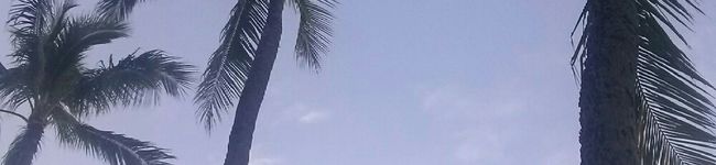 ｙｕｍ．．ｍｙ's header image