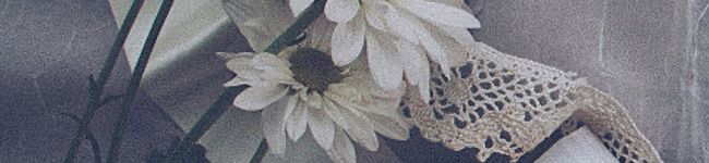 kurose's header image