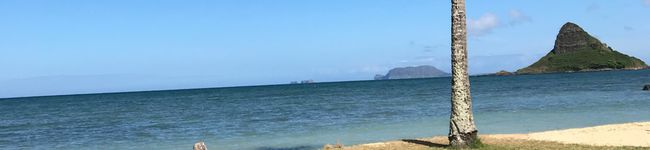 時短オサレご飯OL's header image