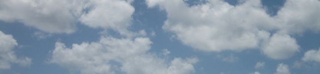 ガッツキ虫's header image