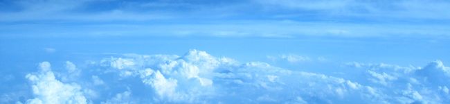 Bonirita's header image