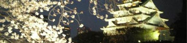 ツバッキー's header image