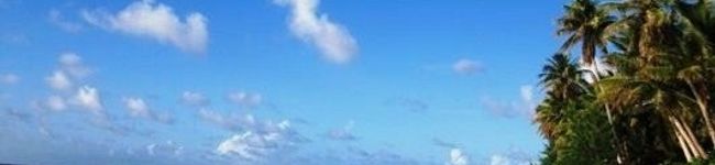 Nekozame's header image