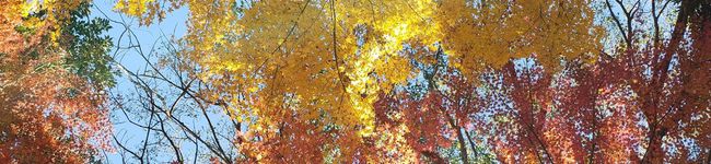 seeenn's header image