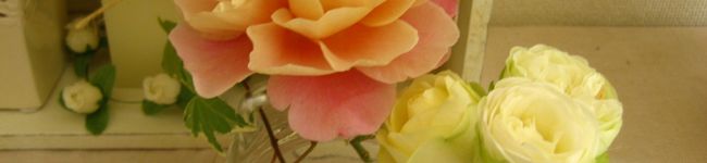 Ａｌｉｃｅ316's header image