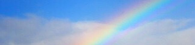 suzu0826's header image