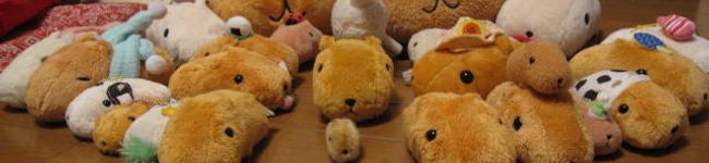 pinky love's header image