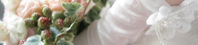 bambi03's header image