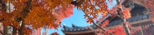 めしもま's header image