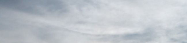aya_1030's header image
