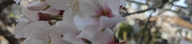 mu♪milk's header image