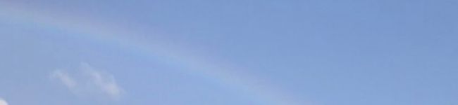 rio0214's header image