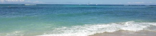うみひつじの台所's header image