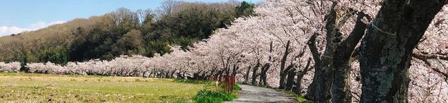 kana606's header image