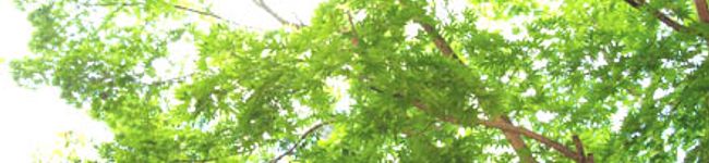 リュー's header image