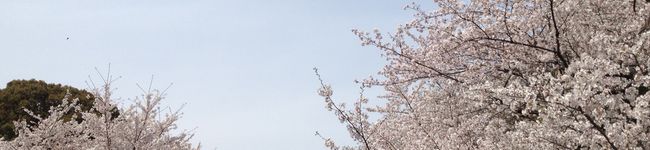 kutyafuku's header image