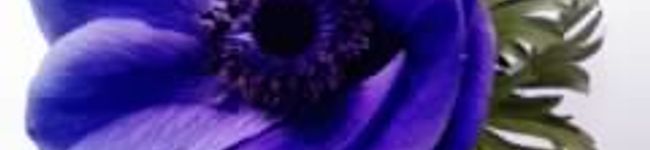chiru's header image