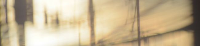 うまコムギ's header image