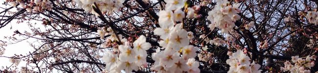 ♡Rii59♡'s header image