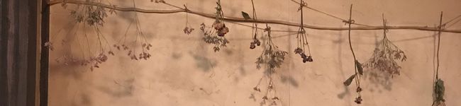 cocco0622's header image