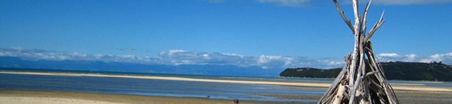 ｃｈｏｌｏｎ's header image